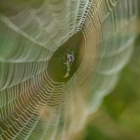 20190820_0045-Redigera