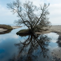20141111_Haväng_0035