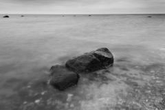 20140120_Vikhög_0031