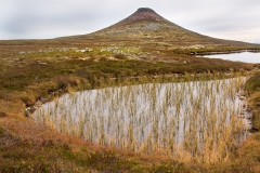 20130919_fulufjället_0424