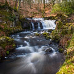 20150409_Österlen_0012