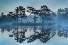 20150929_Knutshöjdsmossen_0044