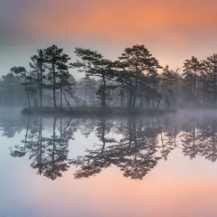 20150929_Knutshöjdsmossen_0083