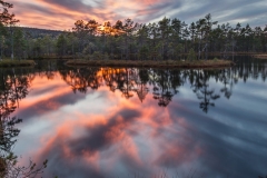 20150930_Knutshöjdsmossen_0126-Redigera