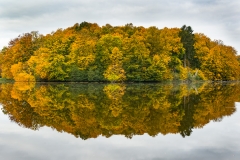 20151019_Bokskogen_0136