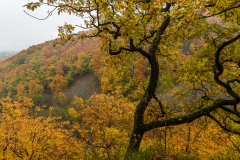 20161024_0011