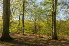 20170502_0026