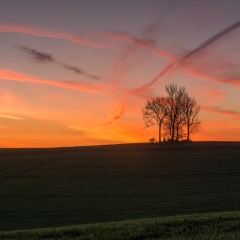 20170504_0004-Redigera