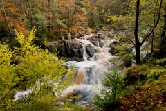 20171017_0007-Redigera