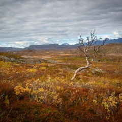 20180912_0038