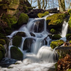 20190319_0008-Redigera