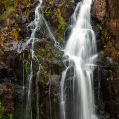 20191019_0020