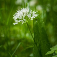 20170530_0010-Redigera