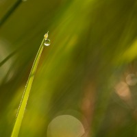 20170711_0023
